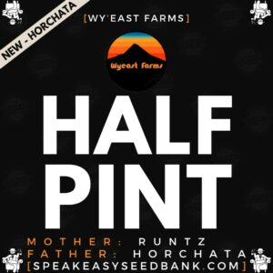 Speakeasy presents Half-Pint by Wy'east Farms