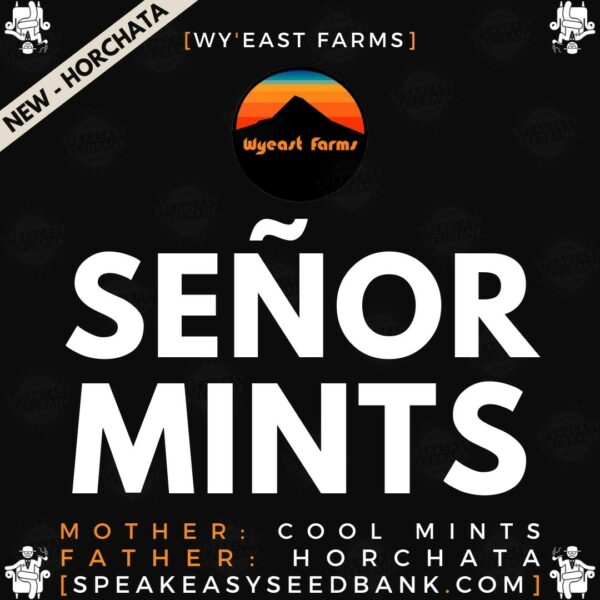 Wy'east Farms presents Senor Mints