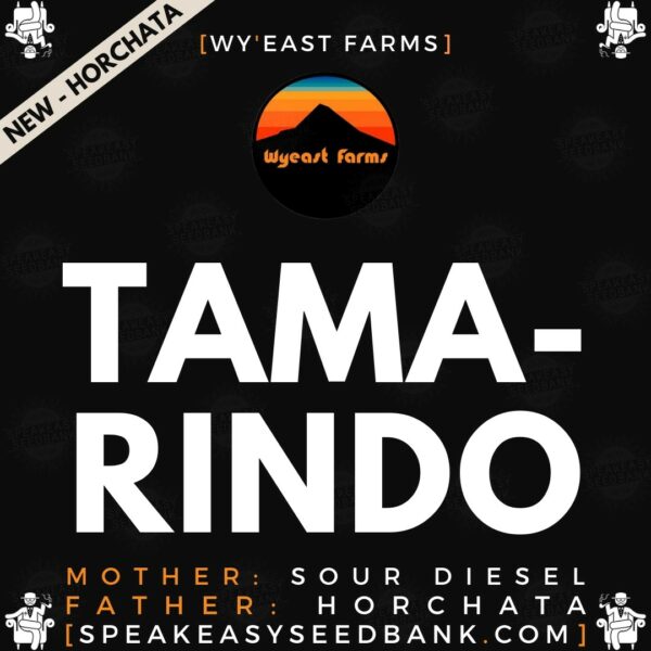 Speakeasy presents Tamarindo by Wy'east Farms