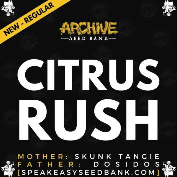 Speakeasy presents Citrus Rush by Archive Seed Bank