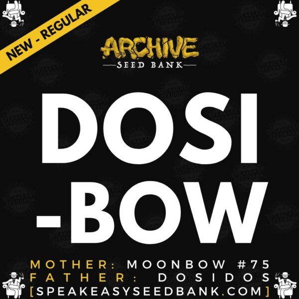 Speakeasy presents Dosi Bow by Archive Seed Bank