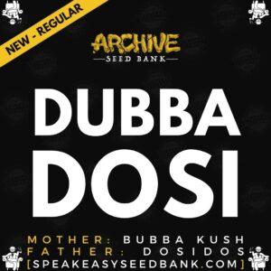 Speakeasy presents Dubba Dosi by Archive Seed Bank