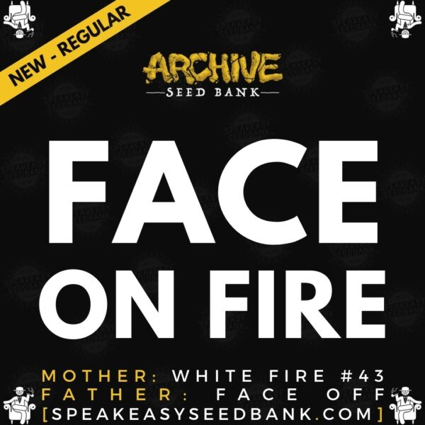 Speakeasy presents Face on Fire by Archive Seed Bank