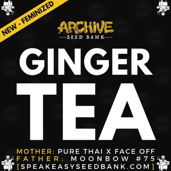 Speakeasy presents Ginger Tea by Archive Seed Bank