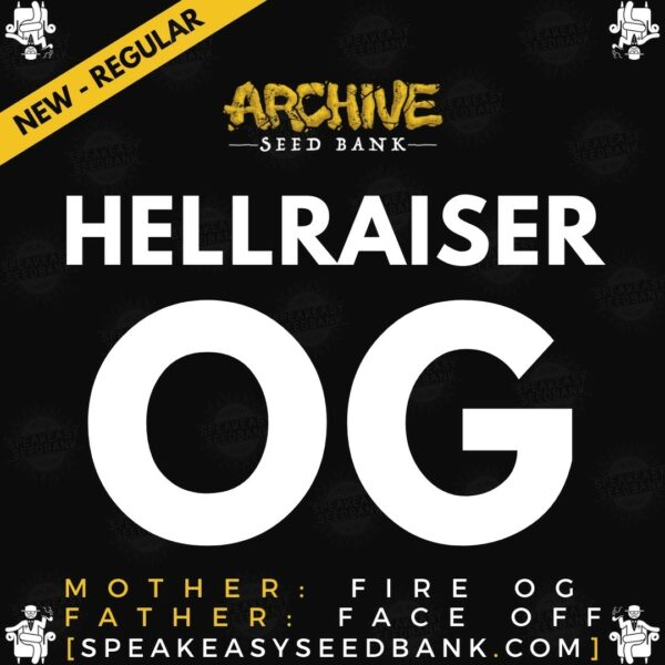 Speakeasy presents Hellraiser OG by Archive Seed Bank