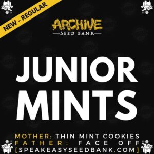 Speakeasy presents Junior Mints by Archive Seed Bank
