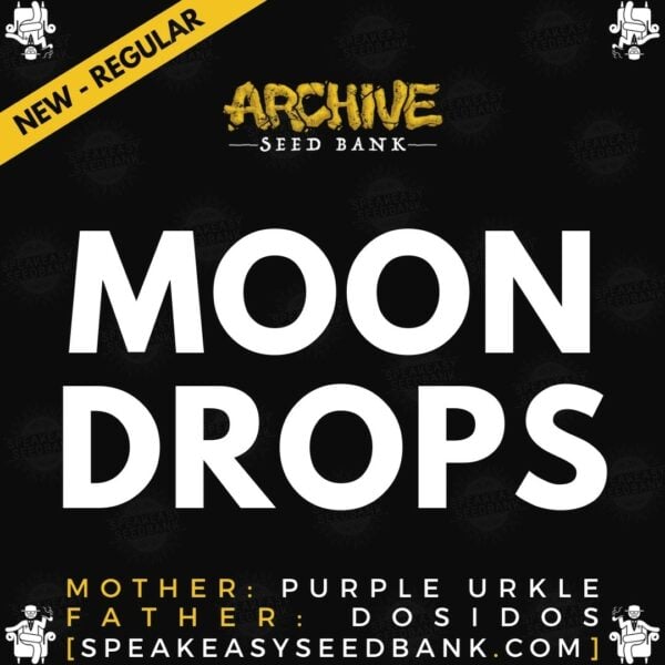 Speakeasy presents Moon Drops by Archive Seed Bank