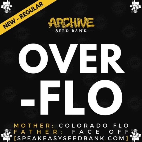 Speakeasy presents Overflo by Archive Seed Bank