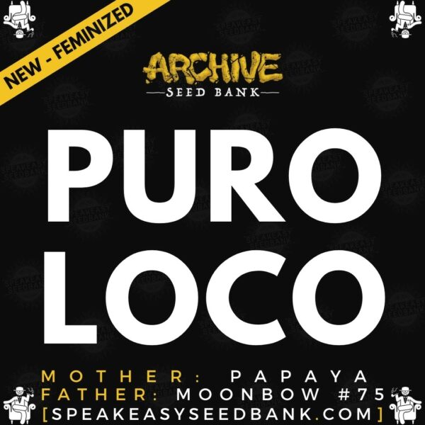Speakeasy presents Puro Loco by Archive Seed Bank