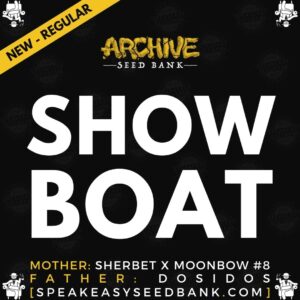 Speakeasy presents Show Boat by Archive Seed Bank