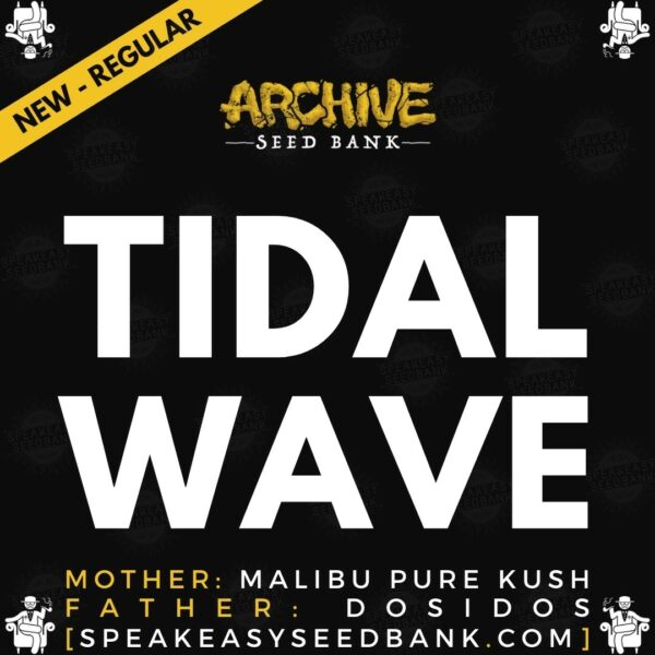 Speakeasy presents Tidal Wave by Archive Seed Bank