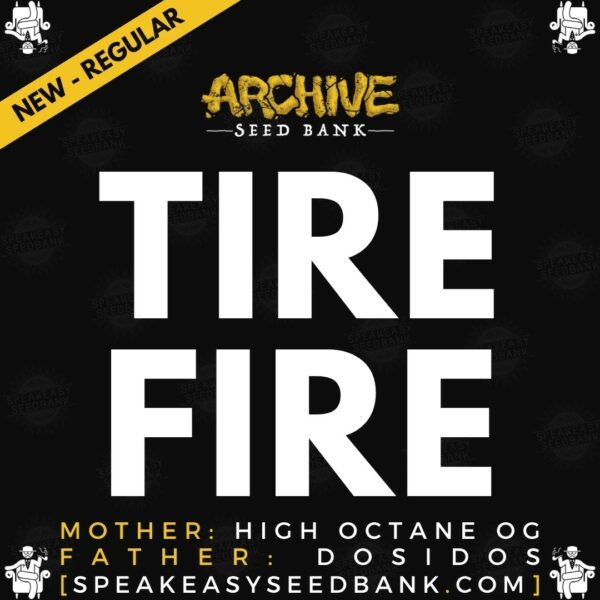 Speakeasy presents Tire Fire by Archive Seed Bank