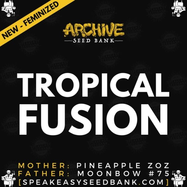 Speakeasy presents Tropical Fusion by Archive Seed Bank