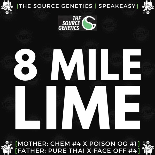 Speakeasy presents 8 Mile Lime by The Source Genetics