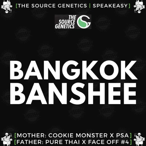 Speakeasy presents Bangkok Banshee by The Source Genetics