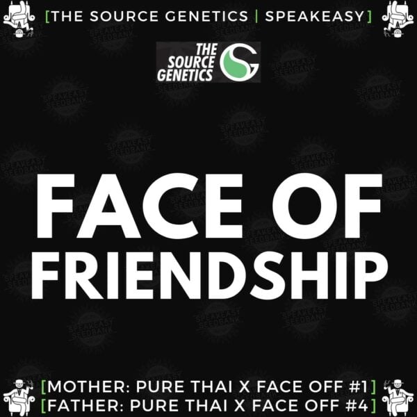 Speakeasy presents Face of Friendship by The Source Genetics