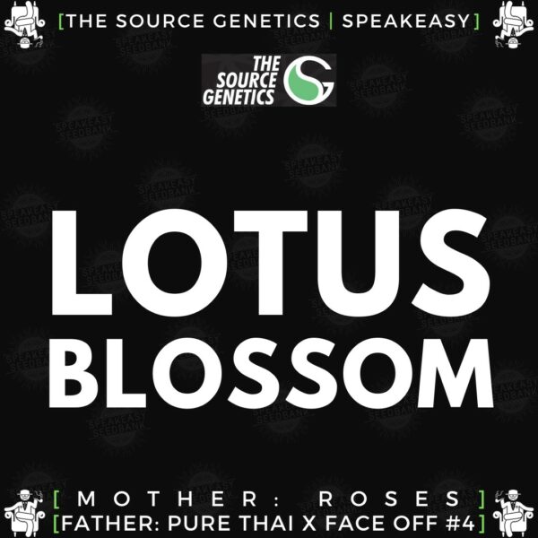 Speakeasy presents Lotus Blossom by The Source Genetics