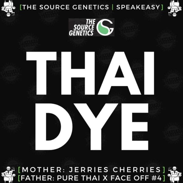 Speakeasy presents Thai Dye by The Source Genetics