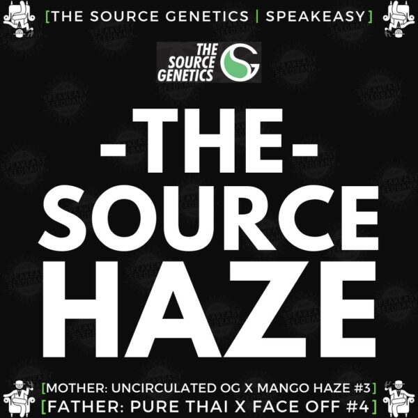 Speakeasy presents The Source Haze by The Source Genetics