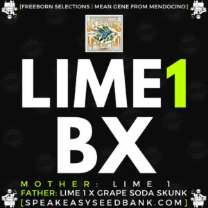 Freeborn Selections presents Lime 1 BX