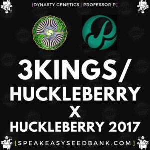 Speakeasy presents 3 Kings / Huckleberry x Huckleberry 2017 by Dynasty Genetics