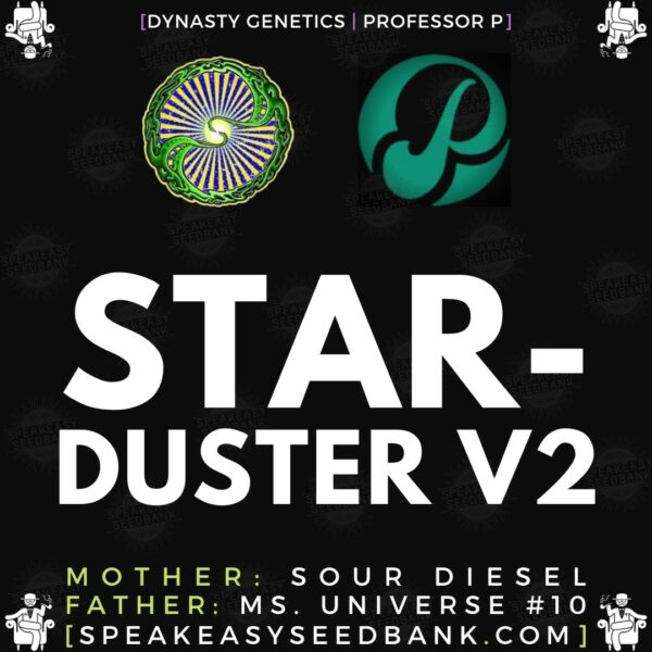 Speakeasy presents Starduster V2 by Dynasty Genetics