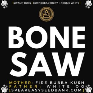 Speakeasy presents Bone Saw by Swamp Boys Seeds