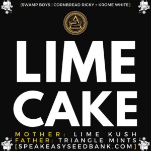 Speakeasy presents Lime Cake by Swamp Boys Seeds