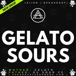 Speakeasy presents Gelato Sours by Alien Genetics