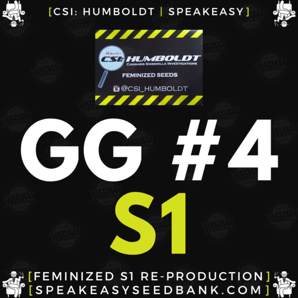 Speakeasy presents GG4 S1 by CSI Humboldt
