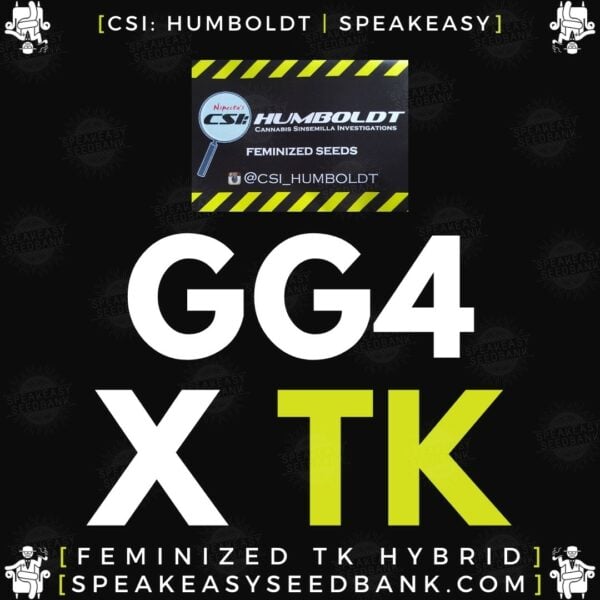 Speakeasy presents GG4 x Triangle Kush by CSI Humboldt (Feminized Seeds)