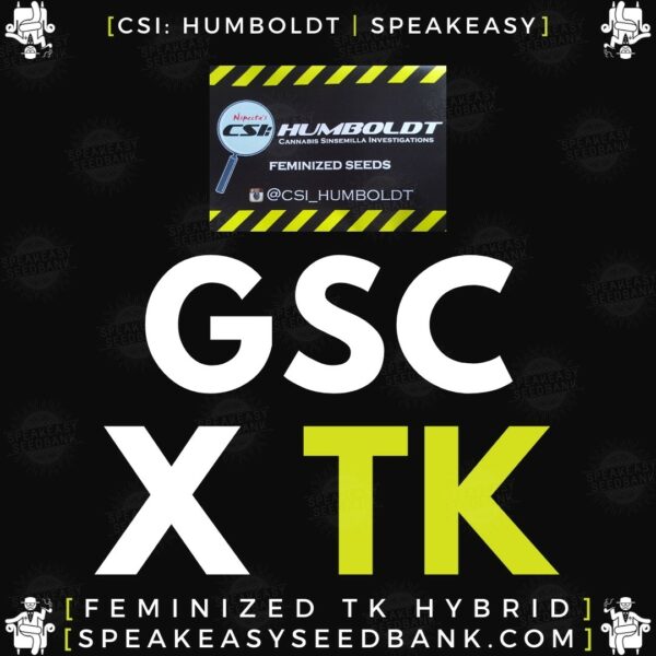 Speakeasy presents GSC x Triangle Kush by CSI Humboldt (Feminized Seeds)
