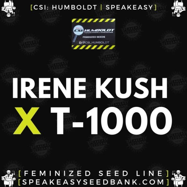 Speakeasy presents Irene Kush x T-1000 by CSI Humboldt