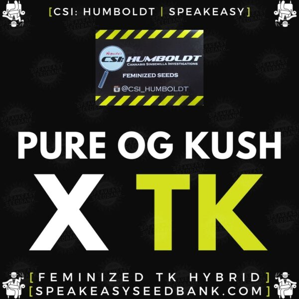 Speakeasy presents Pure OG Kush x Triangle Kush by CSI Humboldt (Feminized Seeds)