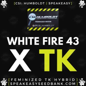 Speakeasy presents Whitefire 43 x Triangle Kush by CSI Humboldt (Feminized Seeds)