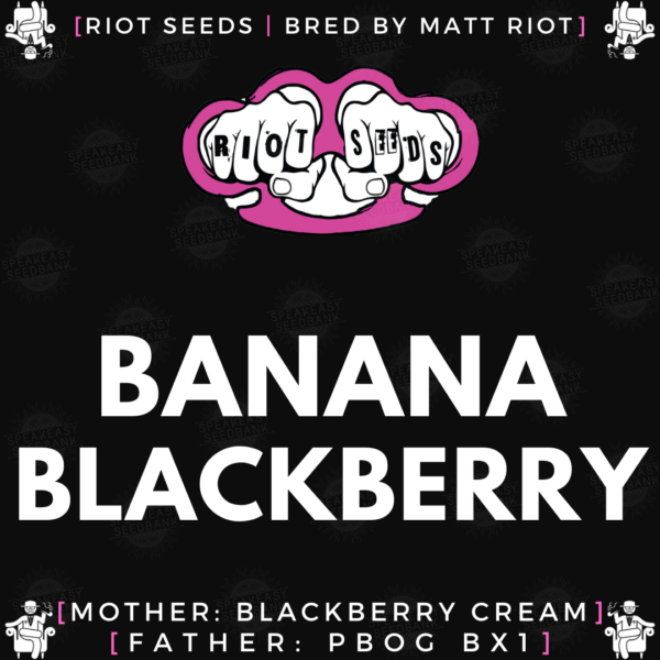 Speakeasy presents Banana Blackberry by Riot Seeds