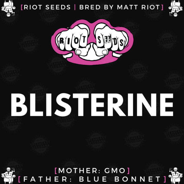 Speakeasy presents Blisterine by Riot Seeds