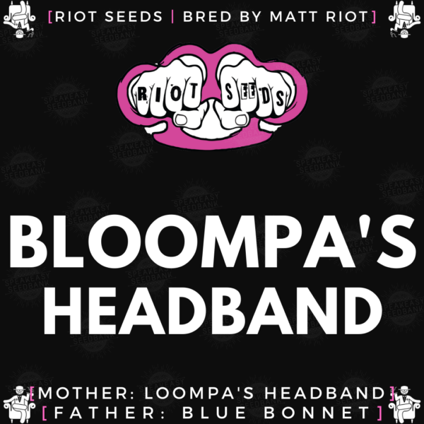 Speakeasy presents Bloompa's Headband by Riot Seeds