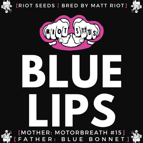 Speakeasy presents Blue Lips by Riot Seeds