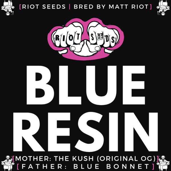 Speakeasy presents Blue Resin by Riot Seeds