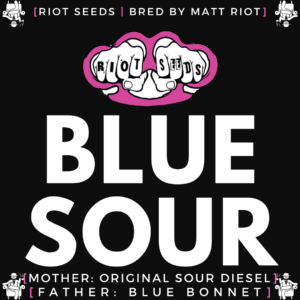 Speakeasy presents Blue Sour by Riot Seeds