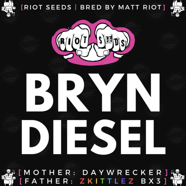 Speakeasy presents Bryn Diesel by Riot Seeds