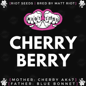 Speakeasy presents Cherry Berry by Riot Seeds
