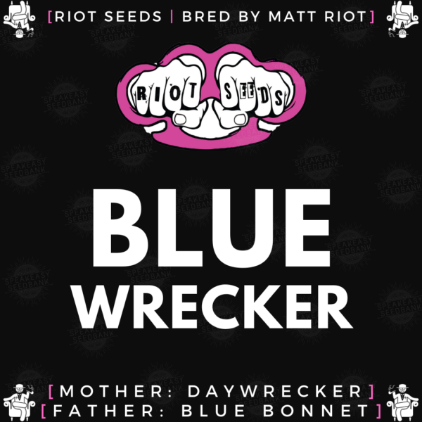 Speakeasy presents Bluewrecker by Riot Seeds