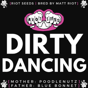 Speakeasy presents Dirty Dancing by Riot Seeds