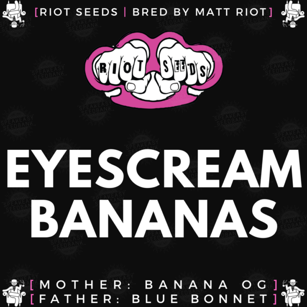 Speakeasy presents Eyes Cream Bananas by Riot Seeds