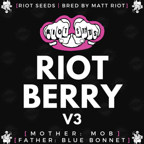 Speakeasy presents Riotberry v3 by Riot Seeds