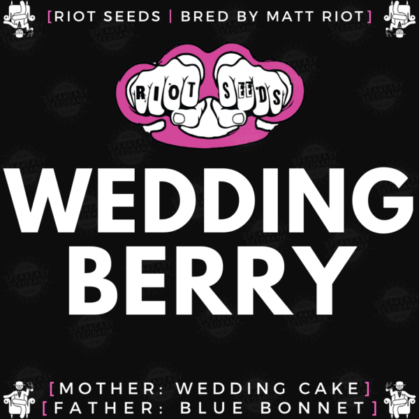 Speakeasy presents Wedding Berry by Riot Seeds