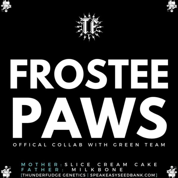 Speakeasy presents Frostee Paws by Thunderfudge Genetics