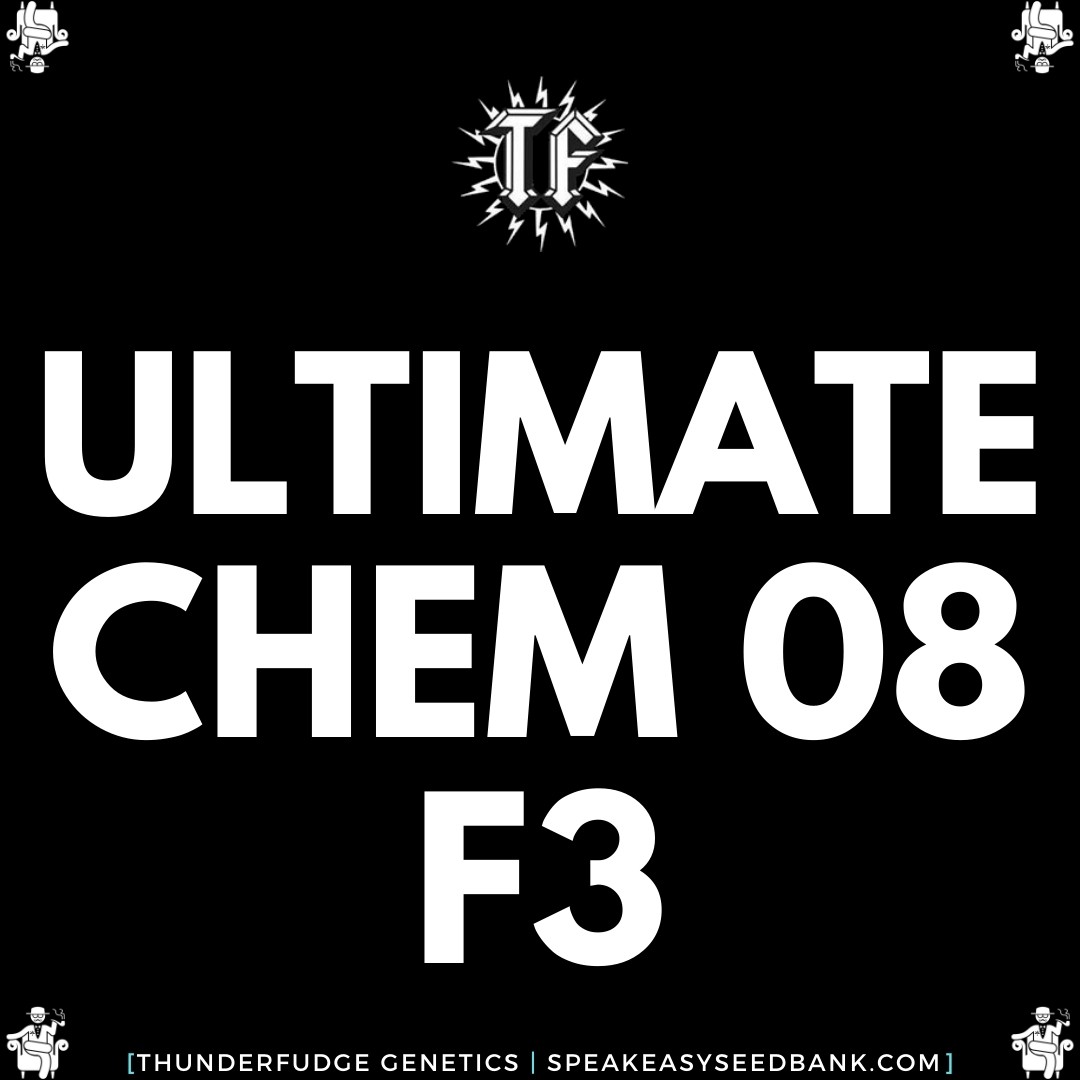 Speakeasy presents Ultimate Chem 08 F3 by Thunderfudge Genetics
